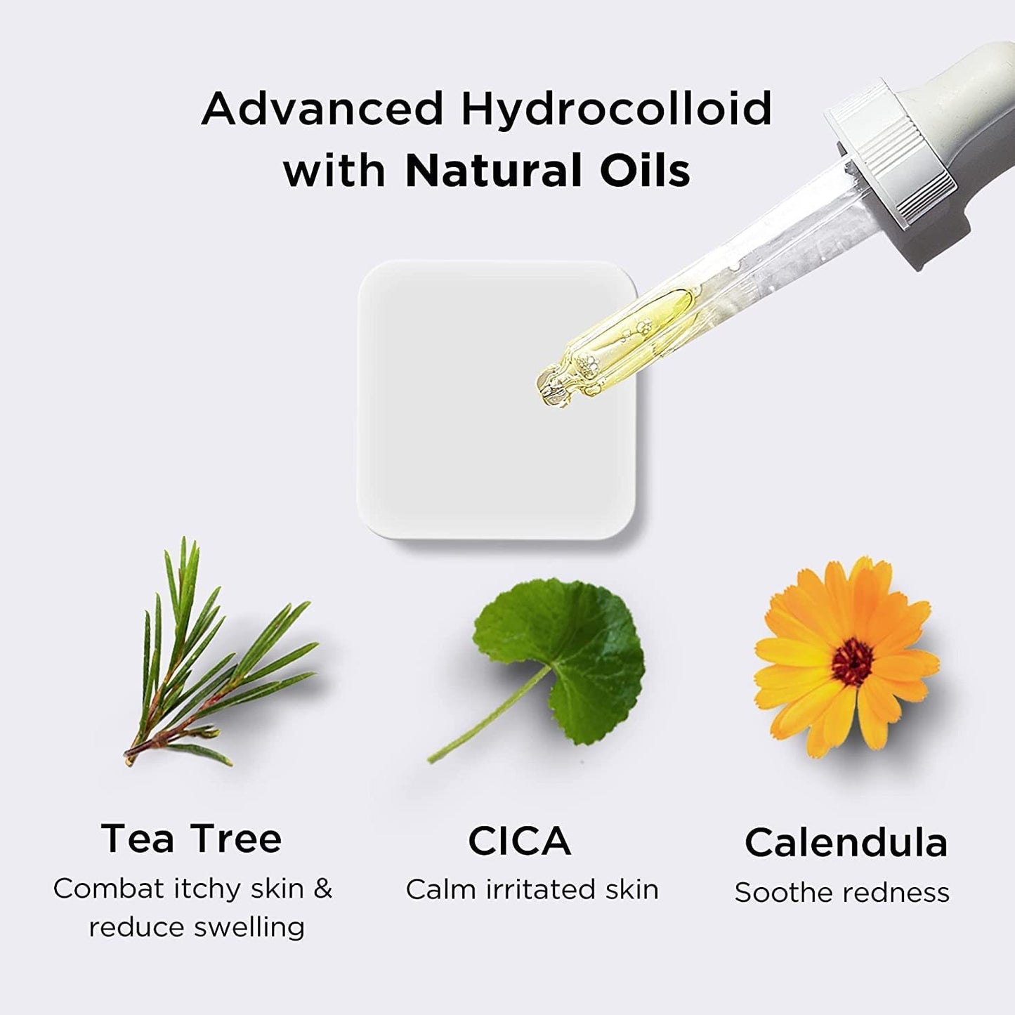 Patch Purifiant